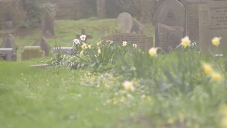 Viejo-Cementerio-En-La-Inglaterra-Rural