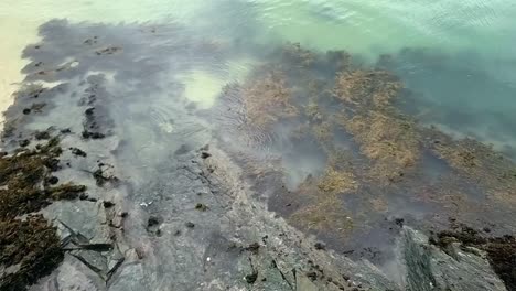 looking down at clear turquoise submerged rocky reef and rippling transparent waves on idyllic bay edge