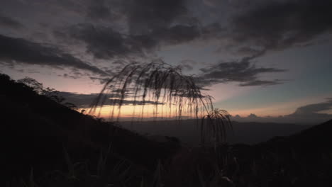 4k panorámica y camiones justo en el bosque en la oscuridad después de la puesta del sol con un hermoso y colorido cielo en el fondo
