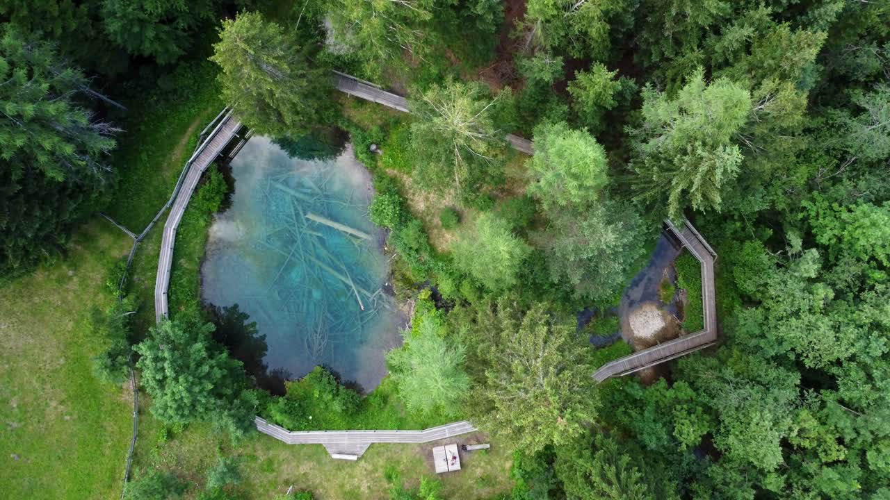 숲 한가운데 통나무가 쓰러진 맑고 푸른 작은 호수