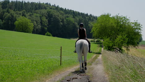 a woman rides a white horse on a path next to green fields