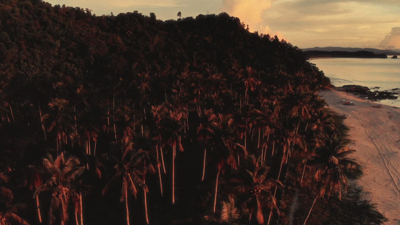 Tropical Beach Sunset from Above