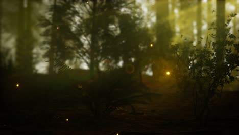 firefly-in-misty-forest-with-fog