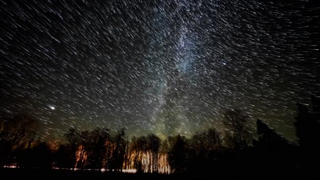star trails time lapse of the night sky with dark trees in the foreground. includes the milky way and venus.