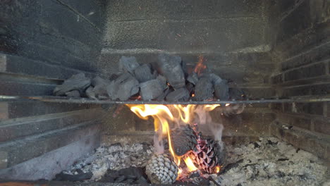 lighting charcoal for barbecue