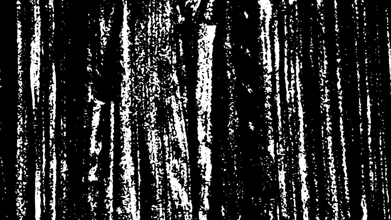 movimiento de ruido blanco sobre fondo negro.