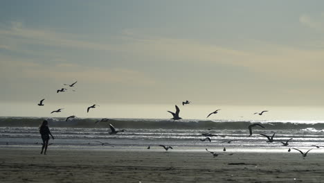 Eine-Junge-Frau-Geht-Am-Strand-Entlang-Und-Schickt-Möwenschwärme-In-Den-Himmel---Silhouette-In-Zeitlupe