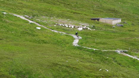 Mountain-biker-descends-on-a-gray-gravel-path-between-the-green-lawns-of-the-highest-mountain-in-Scotland-the-Ben-Nevis