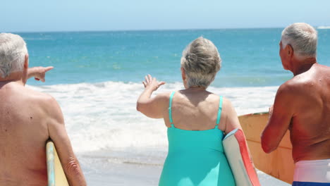 senior friends holding surfboard