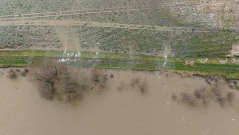 floodwater from river waal running over bank onto surrounding farm land