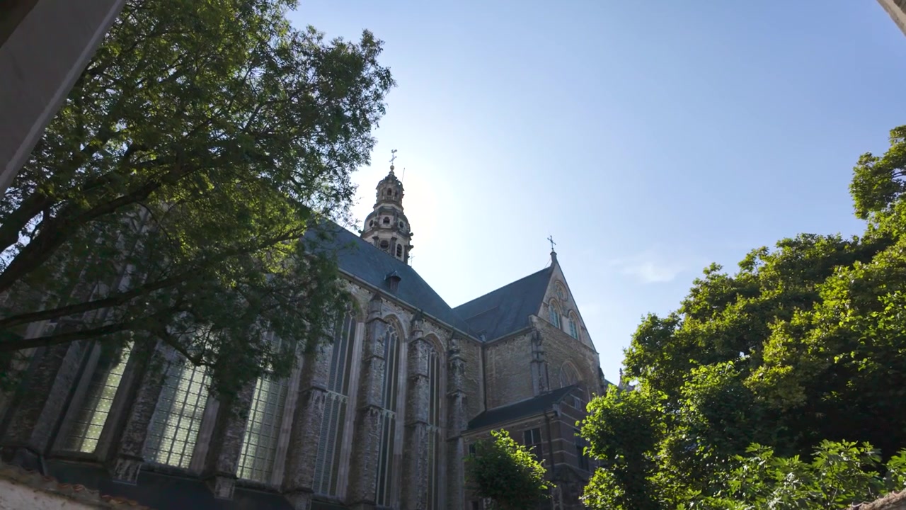 Chiesa di San Paolo incorniciata da alberi e architettura sotto la luce del sole, Anversa, Belgio.