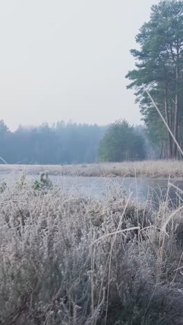 frozen winter landscape with foggy forest