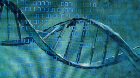 Animation of dna rotating over binary code on green background