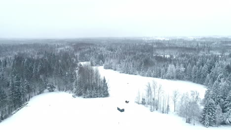 Vista-Aérea-De-Un-Paisaje-Nevado-Con-Un-Denso-Bosque-Siempre-Verde-Y-Un-Claro-Con-Una-Cabaña-Durante-El-Invierno