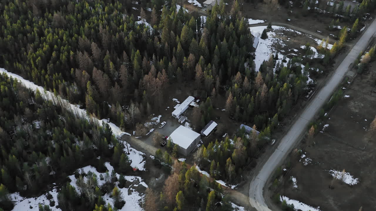 casas esparcidas por los bosques de hoja perenne cubiertos de nieve