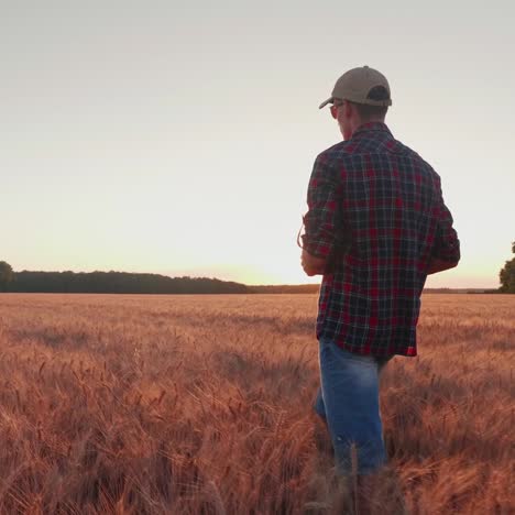 un agricultor decidido va por el camino entre los campos de trigo al atardecer 1