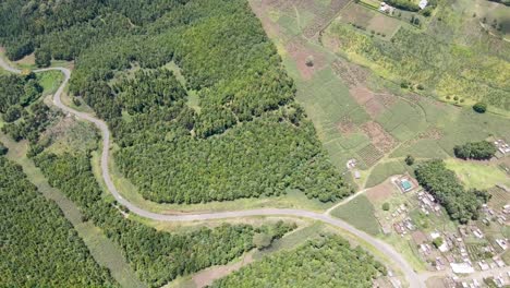 aerial view of drone passing over the road in the deep forest of loitokitok kenya. a road passing into the forest of africa kenya amboseli. city scape of african village with forest