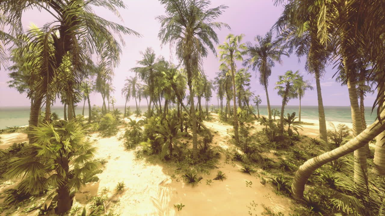 Coastal island landscape with lush palm trees and serene ocean view