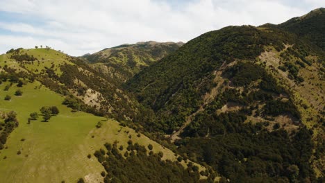 hills and forest drone footage with roads going up hill