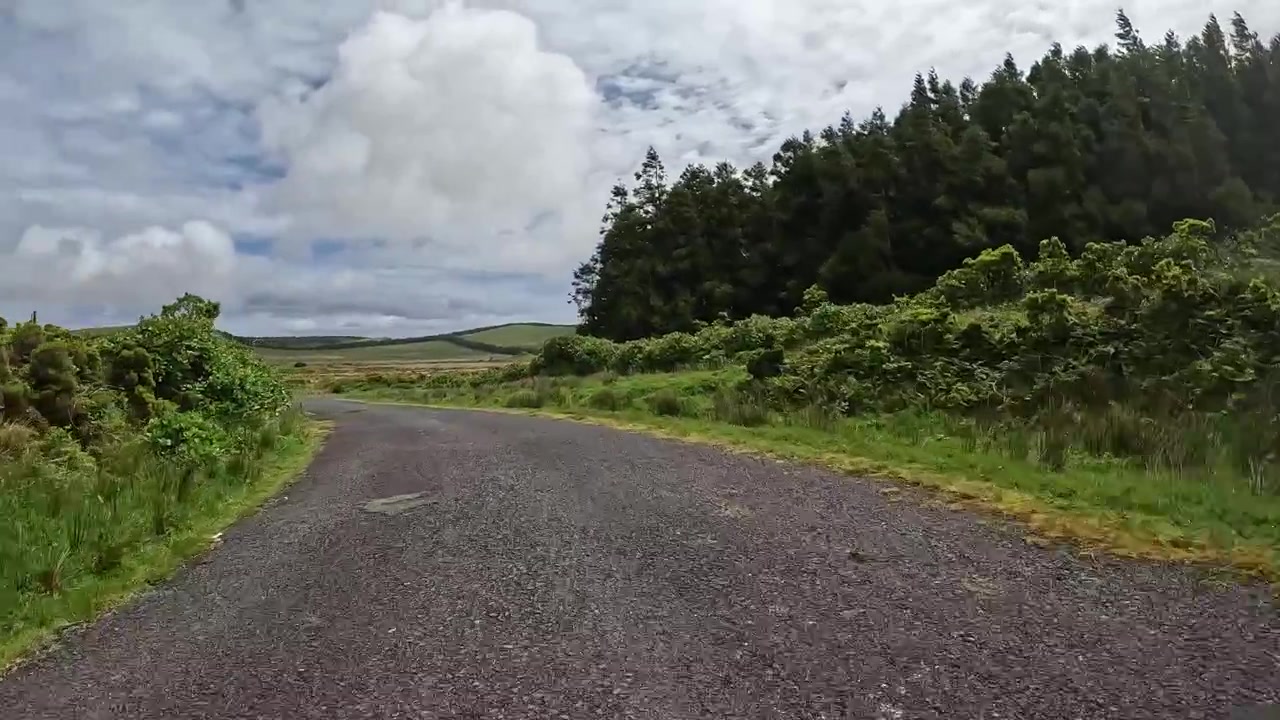 Strada rurale deserta che si snoda tra colline verdi e lussureggianti e foreste sotto un cielo nuvoloso.