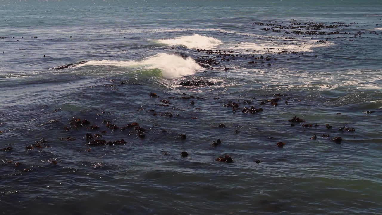 남아프리카 해안의 테이블 베이