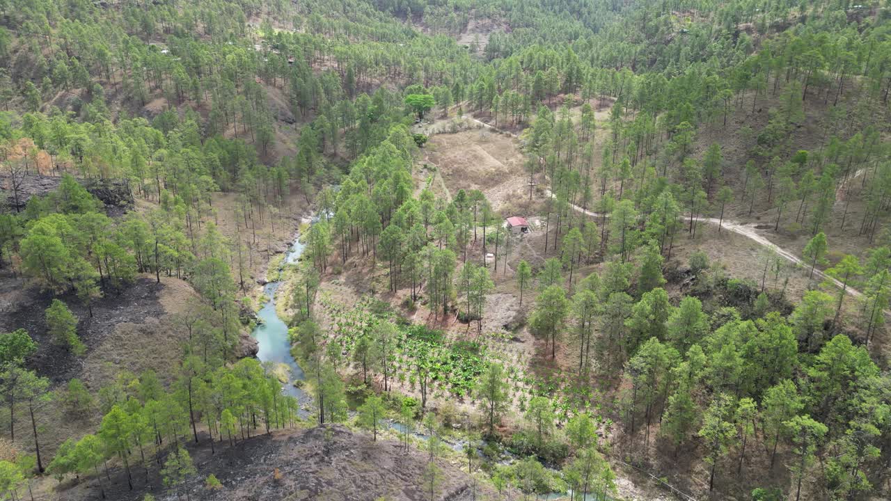 Tropical plantation and river flowing through forested mountain valley in Honduras