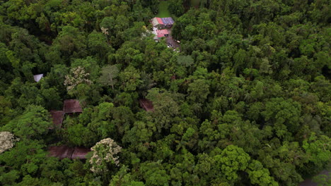 Aerial-View-of-Houses-Hidden-in-Think-Rainforest,-Buildings-in-Rural-Countryside,-Drone-Shot