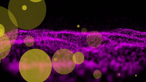 Animation-of-yellow-and-purple-light-spots-on-black-background