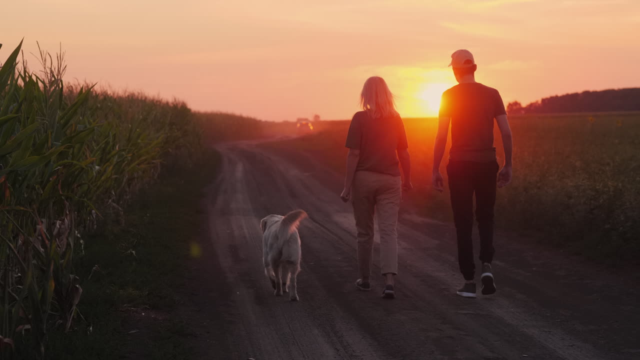 한 부부 와 개 가 해가 지는 동안 시골 도로 에서 산책 하고 있다