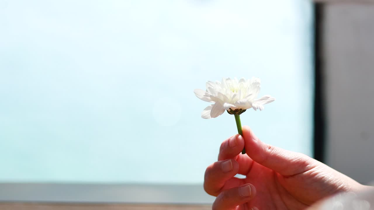 평화로운 해양 풍경에 꽃을 들고 있는 손