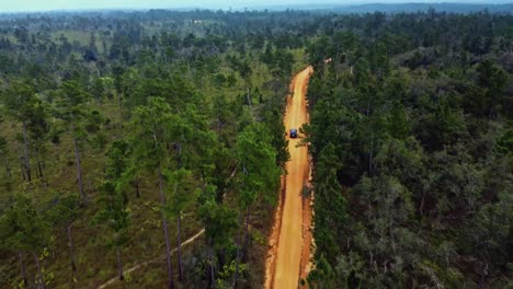 aerial siguiendo un suv a través de las copas de los árboles en un camino de tierra en la reserva forestal de mountain pine ridge en belice