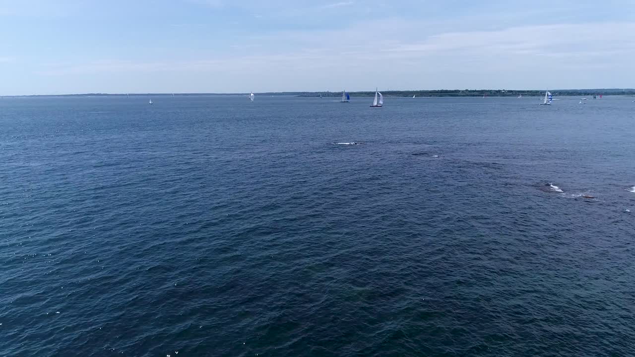 veleros entrando y saliendo mt