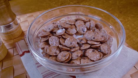 copos de chocolate crujientes en un tazón para un delicioso desayuno matutino con leche. cámara lenta con toma de seguimiento de rotación.