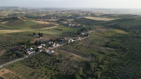 Aerial-Sicily-Italy-olive-tree-plantation-for-olive-oil-production-hills-landscape-with-wind-turbine-at-distance