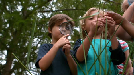 Glückliches-Kind-Zusammen-Im-Park