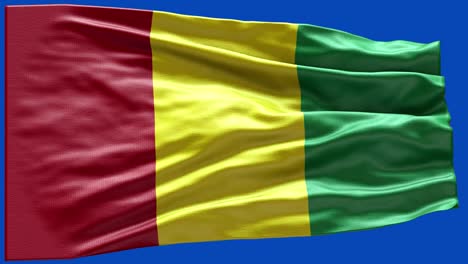 4k highly detailed flag of guinea - guinea flag high detail - national flag guinea wave pattern loopable elements