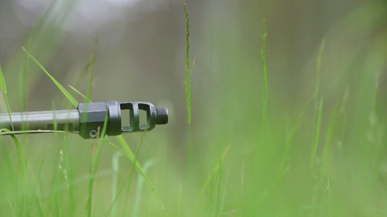 Close-up shows sniper barrel hidden in tall grass during forest recon mission
