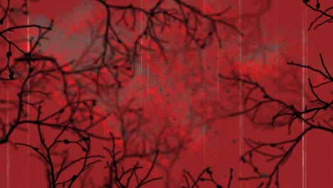 Animation-of-halloween-interference-over-tree-branches-on-red-background