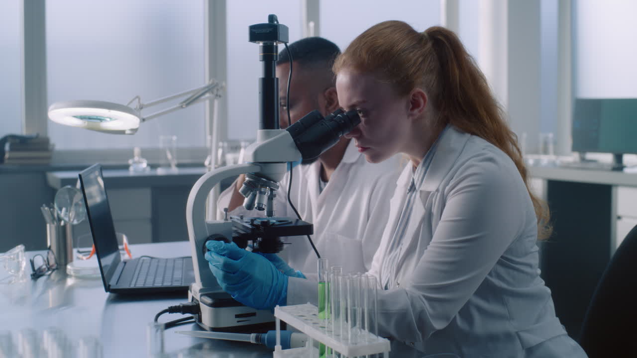 Scientists Working in a Laboratory