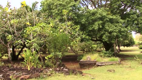 Raiatea-Marae,-Raiatea,-Islas-De-La-Sociedad,-Polinesia-Francesa