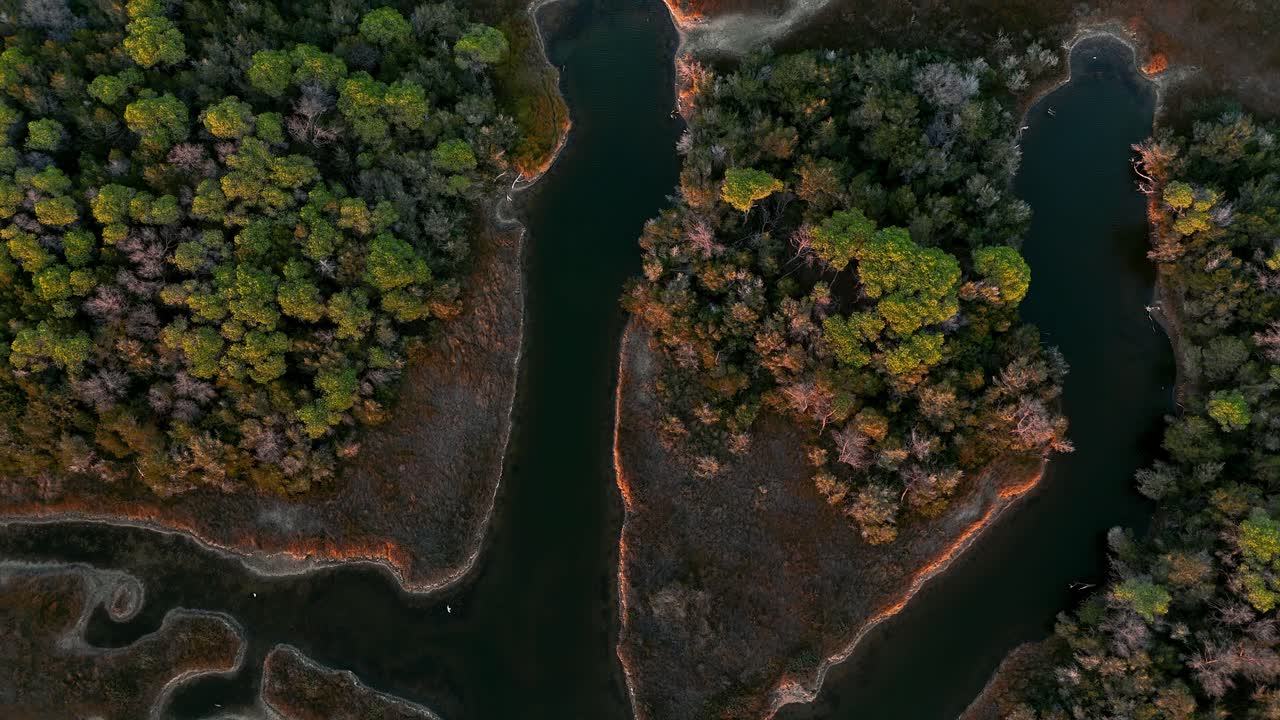 imagens aéreas de drones de lagoas costeiras, pântanos, lagos salgados e pinheiros ao pôr do sol