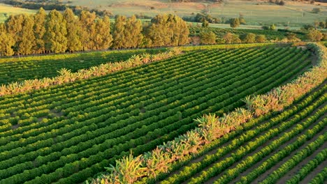 panorama rural landscape