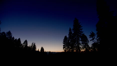 Nach-Oben-Kippen-–-Silhouetten-Von-Waldbäumen-Vor-Einem-Dämmernden-Himmel,-Atemberaubend