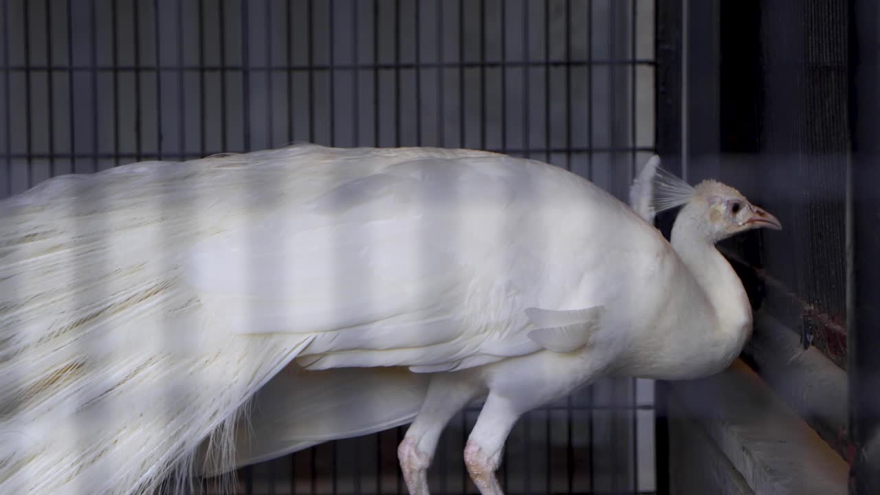 la mejor vista en yokohama