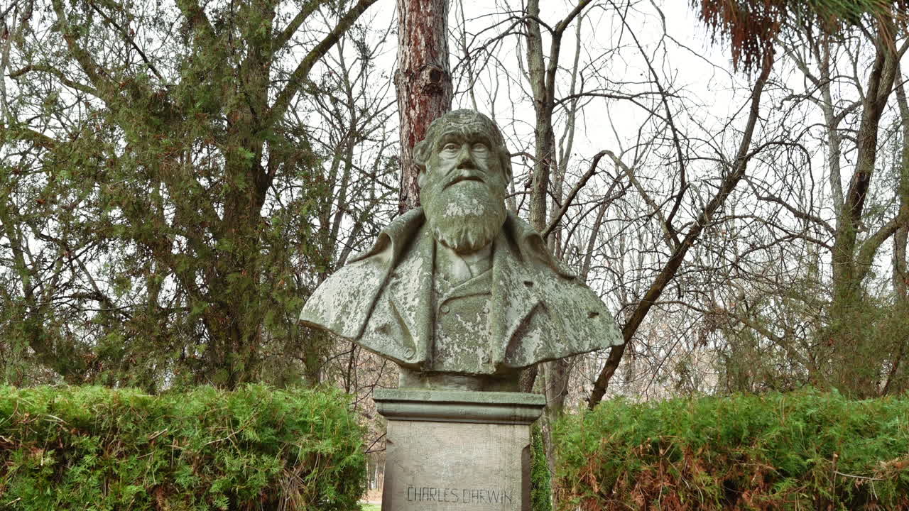 Charles Darwin bust in a park in Bucharest, Romania
