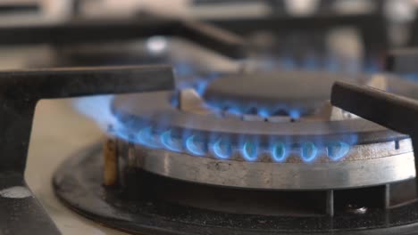 un primer plano de un fuego azul de una estufa de cocina doméstica. una cocina de gas con llamas ardientes de gas propano.