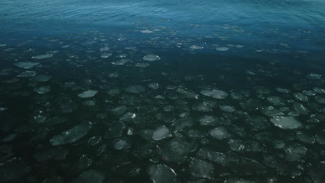 wide shot of ice floating and breaking up on the smooth surface of lake ontario