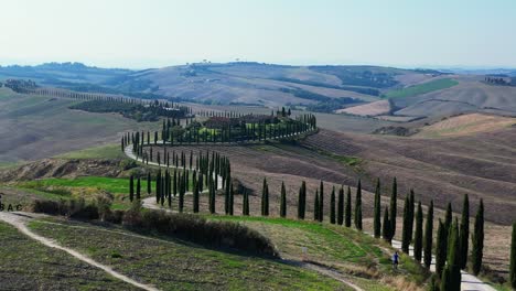 vuelo aéreo mágico de arriba vista italia cipreses camino callejón rural toscana
