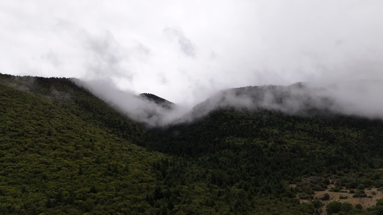 Vista Aérea Panorâmica de Colinas Arborizadas Remotas na Névoa