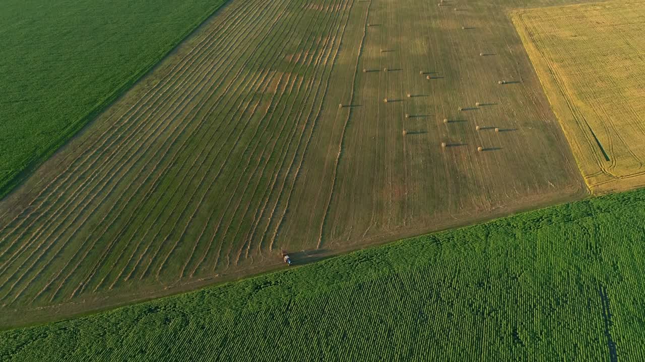 공중 에서 볼 때 여름 에 해 가 지는 동안 농장 에 있는  어리 들, 더기 들